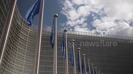 China one of key co-creators of world's future: former EU Commissioner