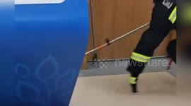 China: Snake Sneaks into Emergency Room in China