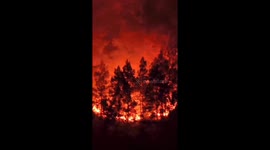 Great fires hit forests in Indonesia covering more than 100 hectares