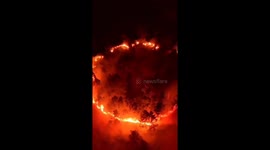 Great fires hit forests in Indonesia covering more than 100 hectares