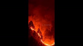 Great fires hit forests in Indonesia covering more than 100 hectares