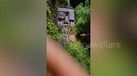 Five dead and 49 injured when bus collides with tractor in India