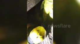 Heroic: Worker rescued by SDRF from debris in northern India