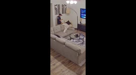 Sneaky dog snatches dinner in seconds, captured on CCTV