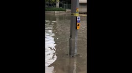 Toronto flood 2024