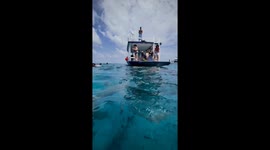Swimming among sharks in Thinadhoo, Maldives
