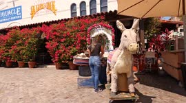 Los Angeles, California Commission decides to vacate the 'El Burro' stand in Placita Olvera
