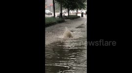 Floodwaters swamp Toronto streets, causing chaos for commuters