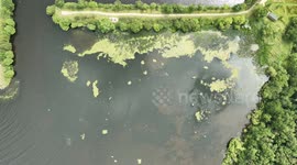 Blue-Green Algae Returns To Lough Neagh - Clip 2