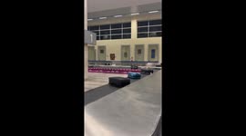 Funny cat trying to walk on luggage reclaim and failing. Cat modeling on luggage reclaim at the airport