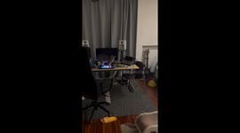 Cat accidentally creates techno beat by standing on music pad