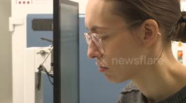 Germany: 3D-Printed Birds Propel Northern Bald Ibis Revival at Lake Constance