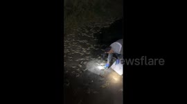 China: A Man Joyfully Collecting Crabs During Unusual Summer Night Tide