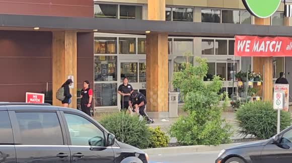 Shoplifter Tackled by Security Guard