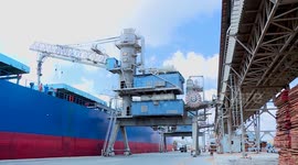 Egypt's wheat reserve sufficient for nearly 7 months