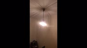 temp
