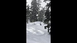 Skier Backflips, explodes on tree
