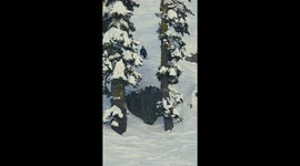 jay rawe drops cliff on his sit ski in slow motion
