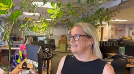 Office plant potted 15 years ago grows into 300ft beast