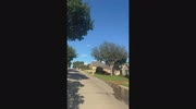 temp