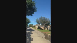 Man fends off attacking falcon in Dallas