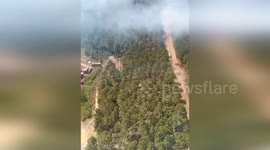 Turkey: Efforts Underway to Combat Forest Fire in Pendik