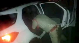 Police rescue driver and two passengers trapped in car that crashed into valley