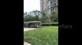 China: Cat Standing Up to Steal and Eat a Pancake