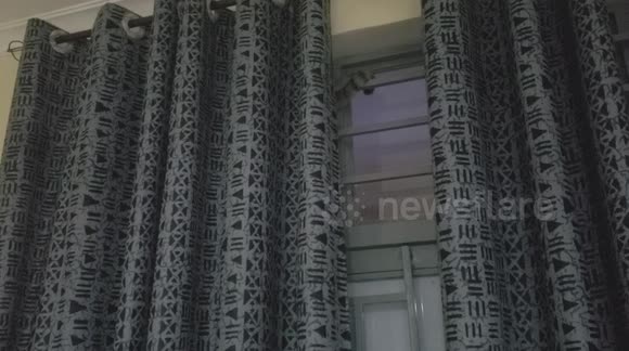 Pet cat hides behind curtains in Rwanda - Buy, Sell or Upload Video