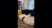 temp