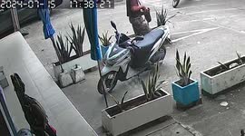 Motorcycle rider caught on CCTV stealing pet cat from outside bank