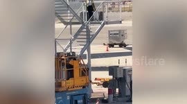 Baggage handlers caught hurling cases down steps as airlines launches probe