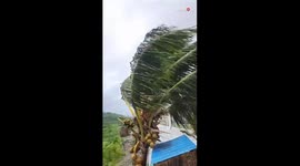 Saint Lucia: Hurricane Beryl's intense winds direct their rage at trees