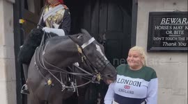 Horse bites a woman’s jumper at Horse Guards Parade in London