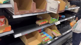 Eggs low in supply at Coles supermarket in Sydney, Australia