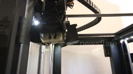 Germany: 3D-Printed Northern Bald Ibis Dummies Help Rare Species Breed In Wild