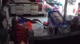 Monitor lizard raids shop in southern Thailand