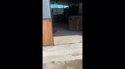 temp