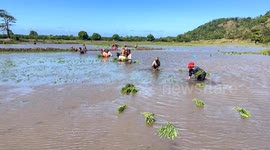 Madagascar: Madagascar initiates measures to help local communities overcome cyclones