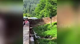 Panda runs away with chair thrown into enclosure by visitor