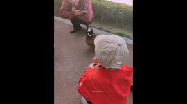 Wild duck seeks help from park-goers after choking in China