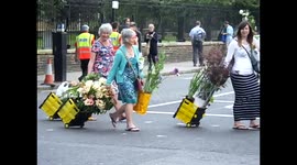 Last day of Chelsea Flower Show6