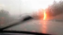 Lightning strike hits trees