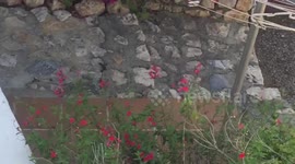 WTF?!! Strange pattern in the sky (no fly zone)!!