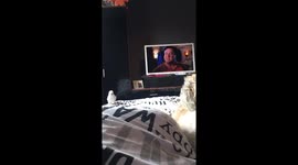 Fudge and snowflake playing