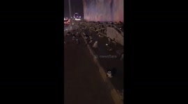 Numerous cats spotted by roadside in Riyadh