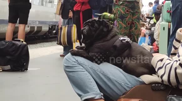 Chaos as French train network hit with arson attacks hours before Olympics opening ceremony