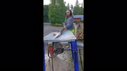 temp