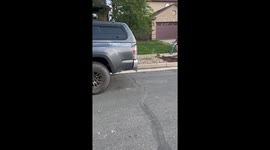 Children mistake rocks for chalk, draw on stranger's car in neighborhood mishap