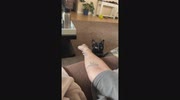 temp